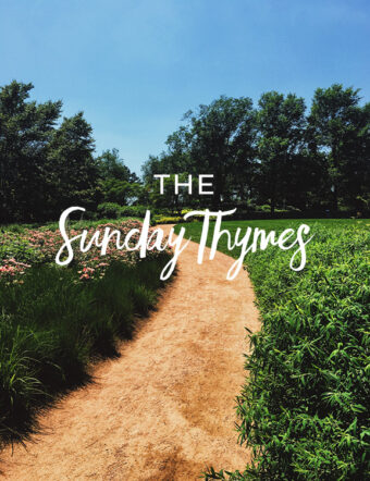 The Sunday Thymes