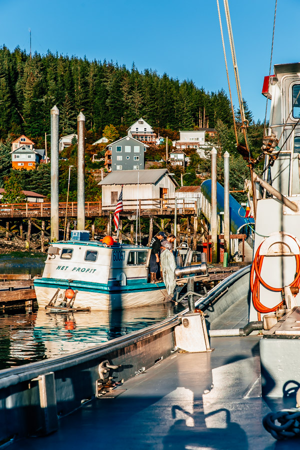 cordova alaska fishing trips
