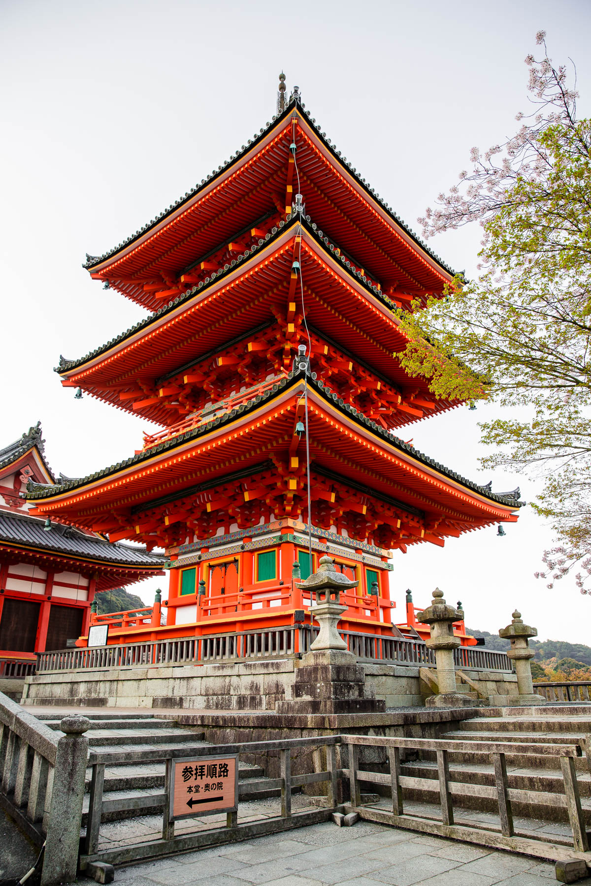 Kyoto Travel Guide - A Beautiful Plate