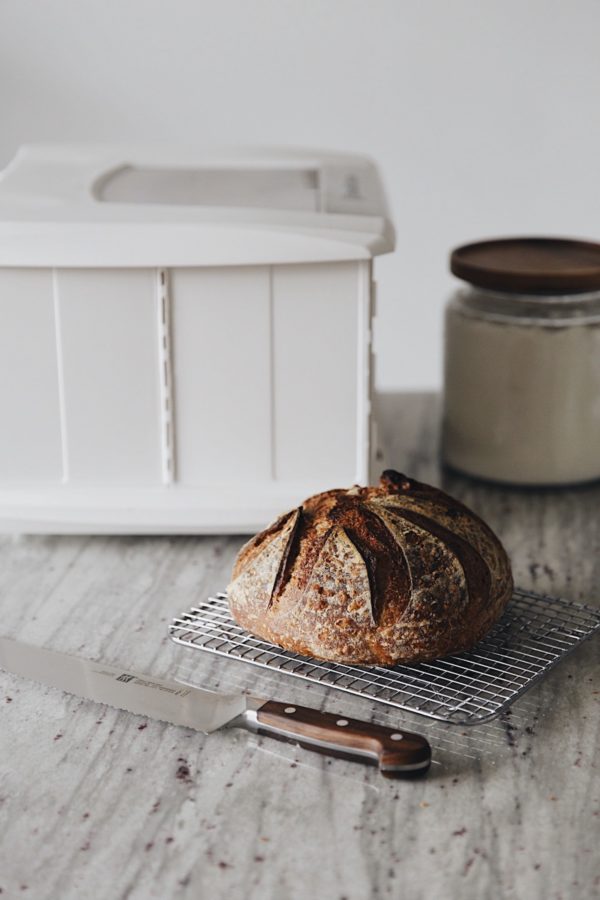 Sourdough Supplies List: 13 Useful Baking Items ~ Homestead and Chill
