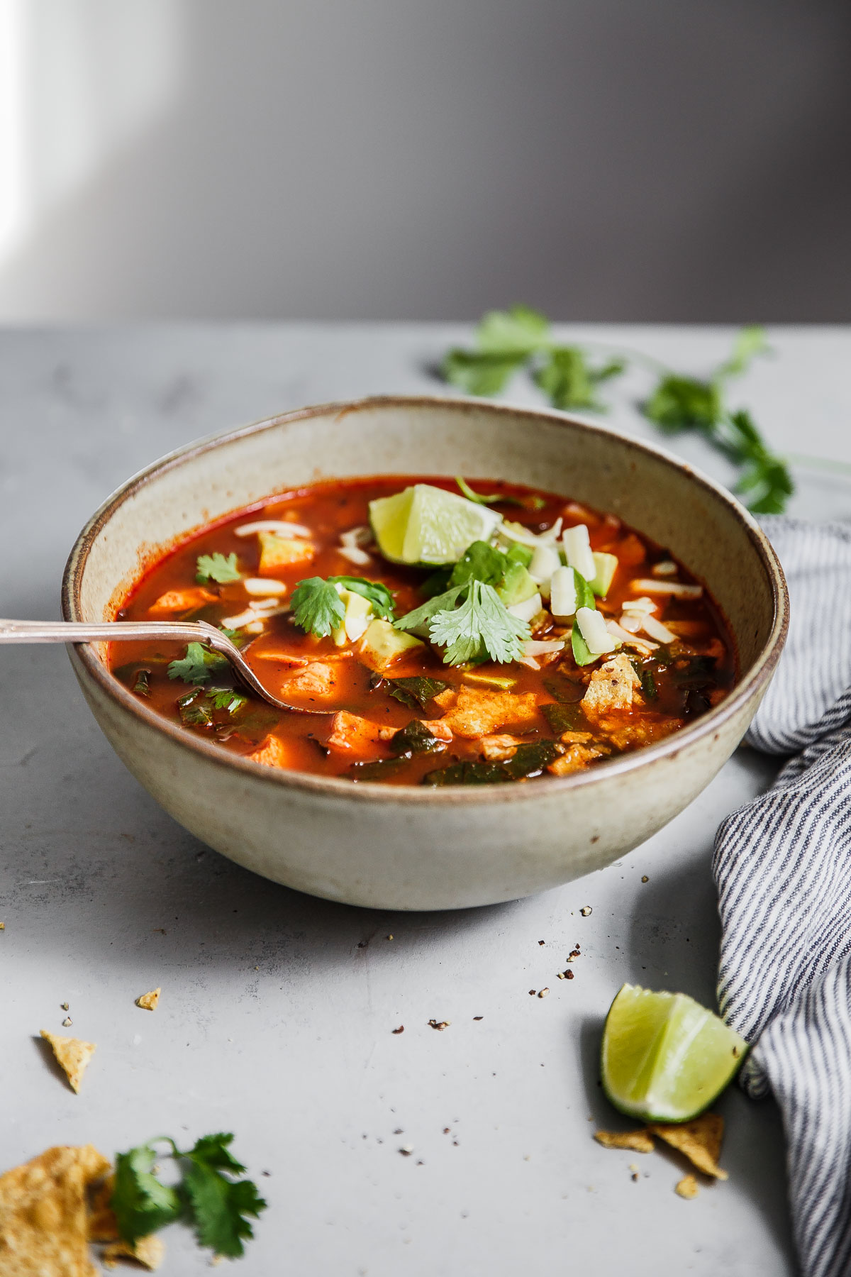 authentic-mexican-tortilla-soup-a-beautiful-plate