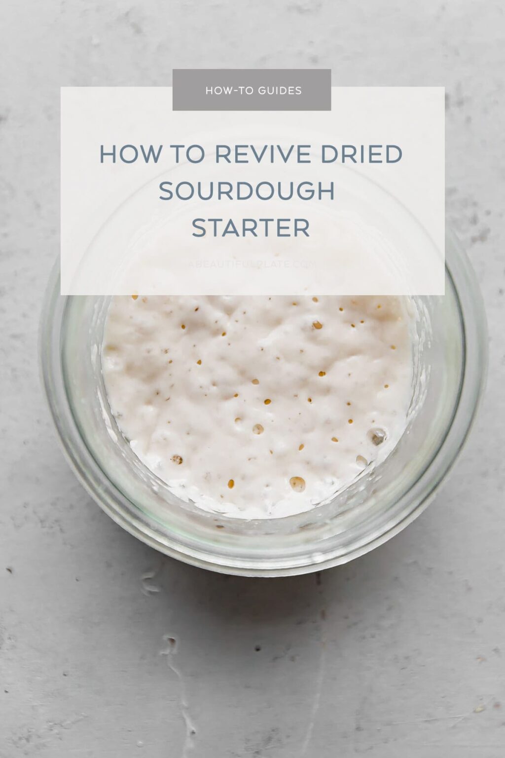 How to Revive Dried Sourdough Starter [Step by Step Guide] - A