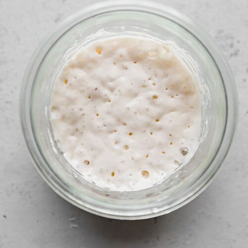 https://www.abeautifulplate.com/wp-content/uploads/2021/04/how-to-revive-dried-sourdough-starter-1-500x500.jpg