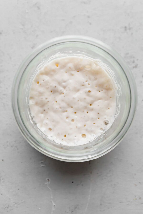 How to Revive Dried Sourdough Starter [Step by Step Guide] - A ...